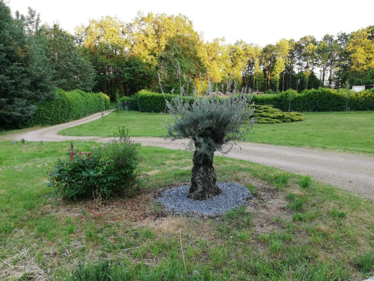 Le Gite Du Parc La Coquille Exterior photo